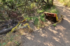 Fryman-Canyon-Park-van