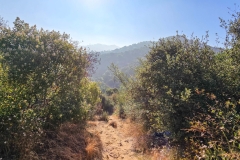 Fryman-Canyon-park-dirt-path