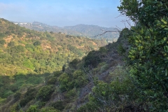 Fryman-Canyon-park-early-cliff