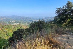Fryman-Canyon-park-early-trail