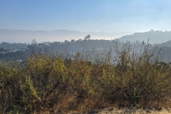 Fryman-Canyon-park-morning-haze