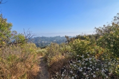 Fryman-Canyon-park-view-from-through-the-bush