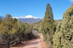 Garden-of-the-Gods-trail-trees-and-pikes-peak