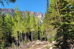 Gloria-Falls-Mountains-over-Aspens