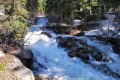 Gloria-Falls-River-in-woods