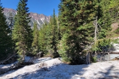 Gloria-Falls-down-from-the-snow