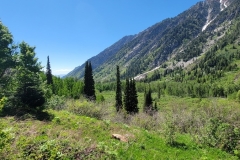 Gloria-Falls-green-valley