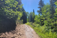Gloria-Falls-lower-trail-wide