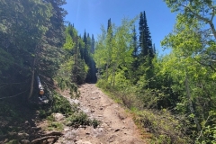 Gloria-Falls-uphill-trail