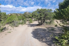 Gordon-Creek-Falls-Road-early