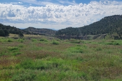 Gordon-Creek-Falls-green-valley