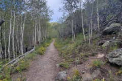 Great-Sand-Dunes-Nature-Trail-Aspen-grove-early