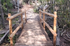 Great-Sand-Dunes-Nature-Trail-Bridge