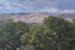 Great-Sand-Dunes-Nature-Trail-Dunes-over-trees