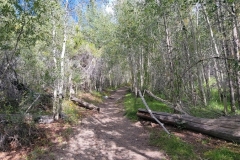 Great-Sand-Dunes-Nature-Trail-Start
