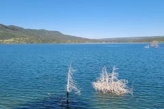 Hiking-Lake-Nighthorse-brush-in-the-water