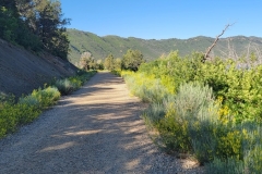 Hiking-Lake-Nighthorse-long-straight-trail