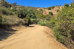 hollywood-sign-road-long