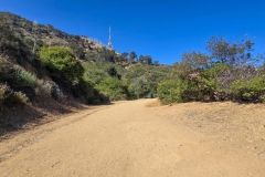 hollywood-sign-start-curve