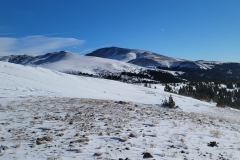 Hoosier-Pass-first-ridge-back