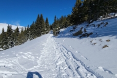 Hoosier-pass-snow-trail