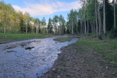 Hoss-and-Little-Joe-2nd-river-cross