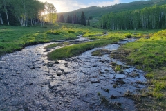 Hoss-and-Little-Joe-Cover-Good