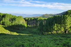 Hoss-and-Little-Joe-Loop-Aspen-Valley