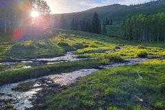 Hoss-and-Little-Joe-Loop-Cover