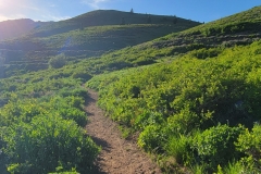 Hoss-and-Little-Joe-Loop-Narrow-Trail