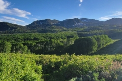 Hoss-and-Little-Joe-Loop-Wide-Ridge