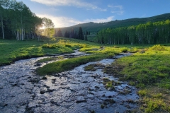 Hoss-and-Little-Joe-Loop-creek-close-up