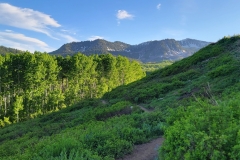Hoss-and-Little-Joe-Loop-hillside-trail