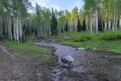 Hoss-and-Little-Joe-creek-up-the-road