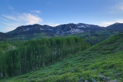 Hoss-and-Little-Joe-shady-ridgeline