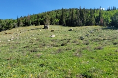 Jasper-Lake-Trail-Early-Meadow