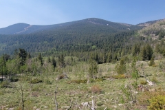 Jasper-Lake-Trail-frist-hill-views