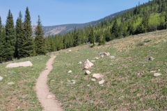 Jasper-Lake-Trail-meadow