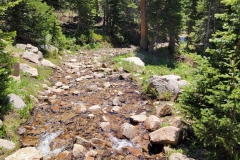 Jasper-Lake-Trail-rocky-and-wet-trail