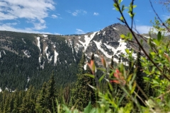 Jasper-Lake-Trail-skyscraper-and-flowers