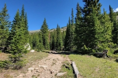 Jasper-Lake-Trail-upper-trail