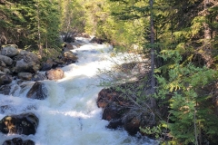 Jasper-Lake-trail-early-river
