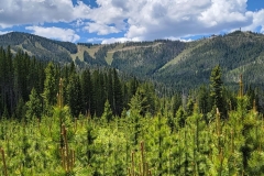 Jim-Creek-Trail-Mary-Jane