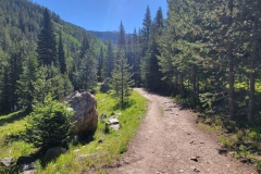 Jim-Creek-Trail-Trail-after-high-trailhead