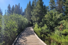 Jim-Creek-Trail-Wooded-walkway-start
