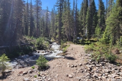 Jim-Creek-Trail-creek-and-trail-high