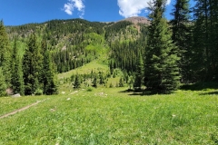 Jim-Creek-Trail-green-hill-return