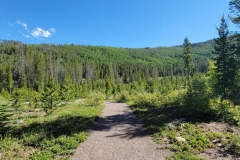 Jim-Creek-Trail-open-picnic-area