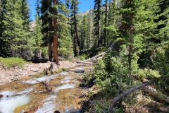 Jim-Creek-Trail-water-and-woods