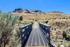 John-Day-Island-in-Time-early-bridge
